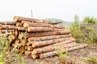 Similar image 21323695