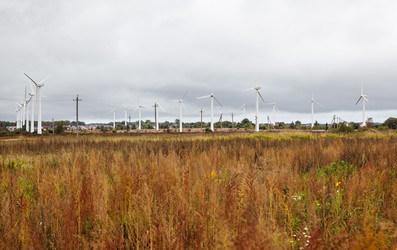 Similar image 21323709