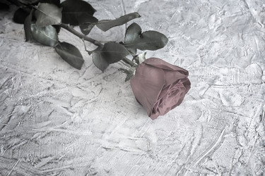 Similar image 21336177