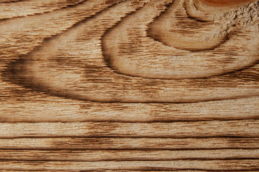 Similar image 21340905