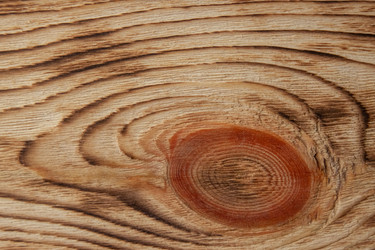 Similar image 21327132