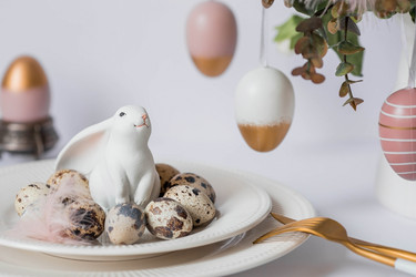 Similar image 21330091