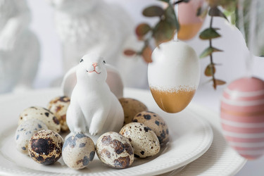 Similar image 21330092