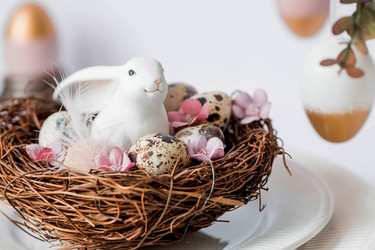 Similar image 21330093