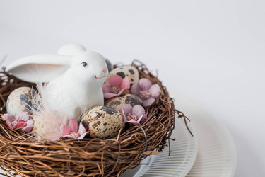 Similar image 21329720