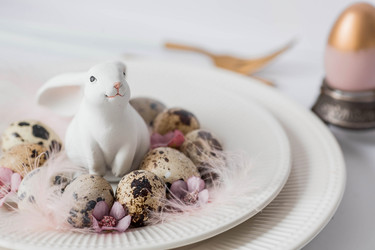 Similar image 21330095