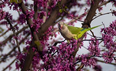 Similar image 21320135