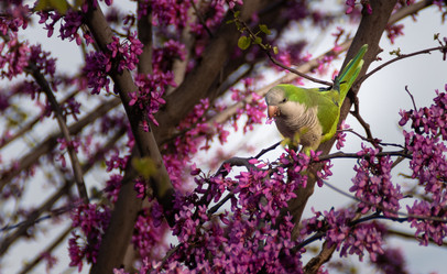 Similar image 21320138