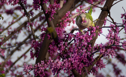 Similar image 21320140