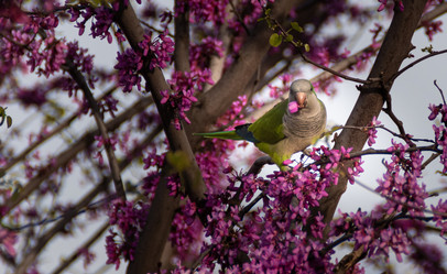 Similar image 21321190