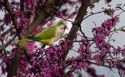 Similar image 21321191