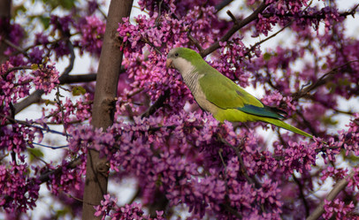 Similar image 21321194