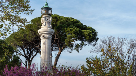 Similar image 21321198