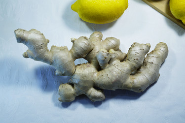 Similar image 21320070