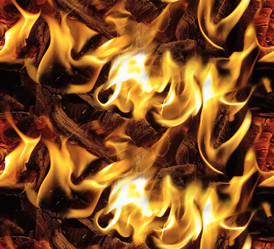 Similar image 21319893