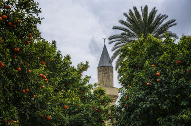 Similar image 21322951