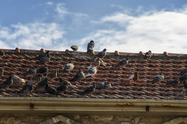 Similar image 21333836