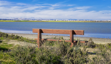 Similar image 21335956