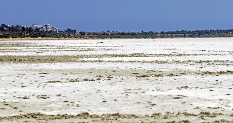 Similar image 21336010