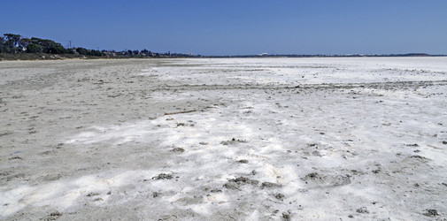 Similar image 21336056