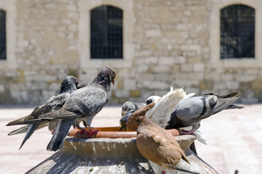 Similar image 21336061