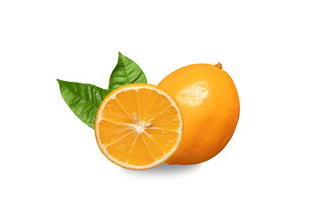 Similar image 21325573