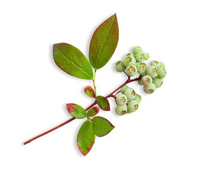 Similar image 21325575