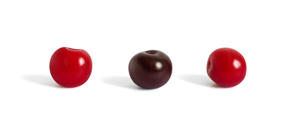 Similar image 21325595