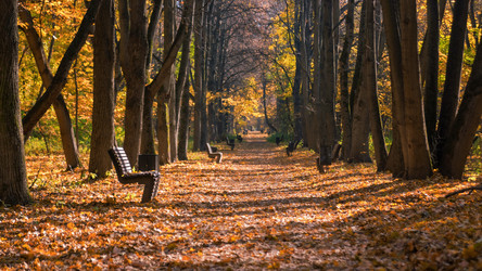 Similar image 21337078