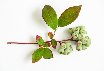 Similar image 21325606