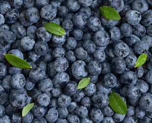 Similar image 21325610