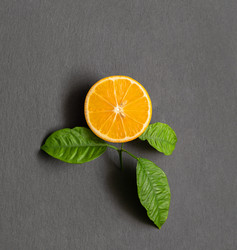 Similar image 21325532