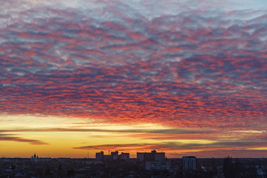 Similar image 21320196