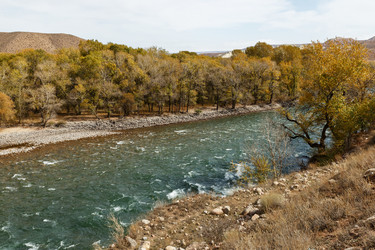 Similar image 21320751