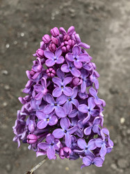 Similar image 21320344