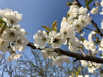 Similar image 21320346