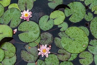 Similar image 21322440