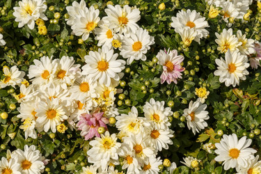 Similar image 21320786