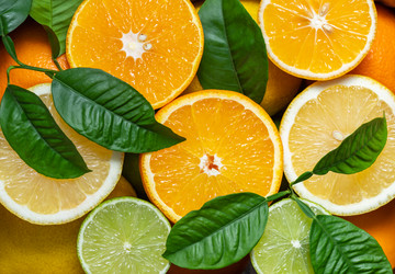 Similar image 21325628