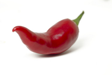 Similar image 21333471