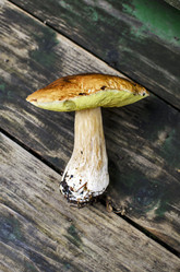 Similar image 21333880