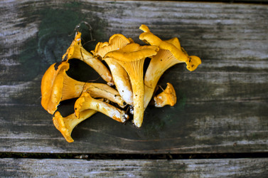 Similar image 21333882