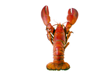 Similar image 21333884