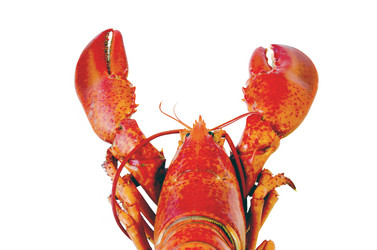 Similar image 21333886