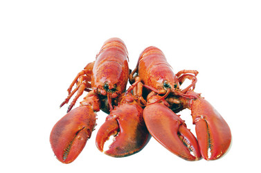 Similar image 21333890