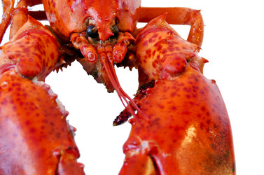 Similar image 21333892