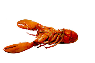 Similar image 21333897