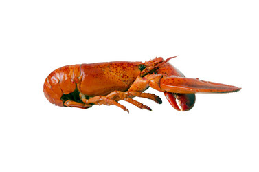 Similar image 21333899