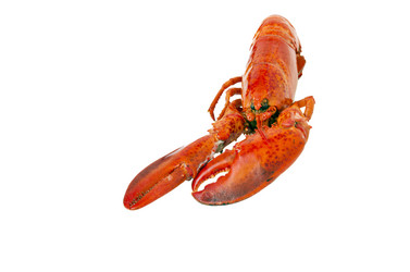 Similar image 21336655