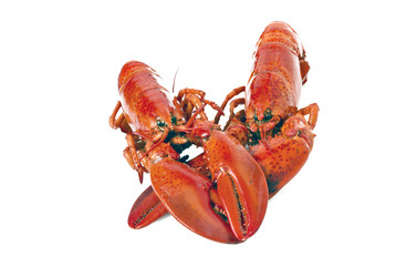 Similar image 21336657